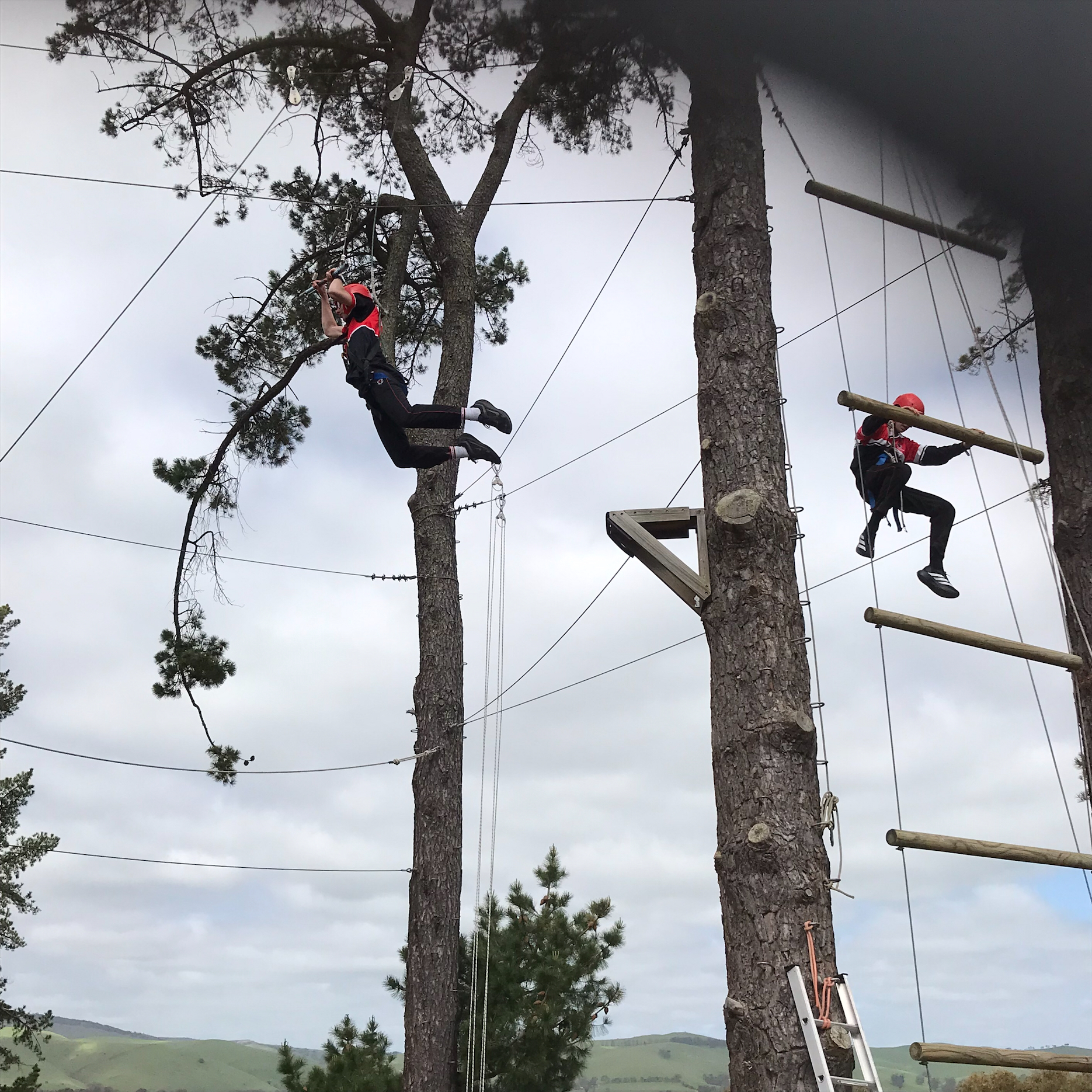 Processed 4 E9 EFE73 51 B7 4 CFF 8 DA1 E0 BD081 A1261 7519 CCC6 0610 4477 99 CB 50 A614 FF448 F