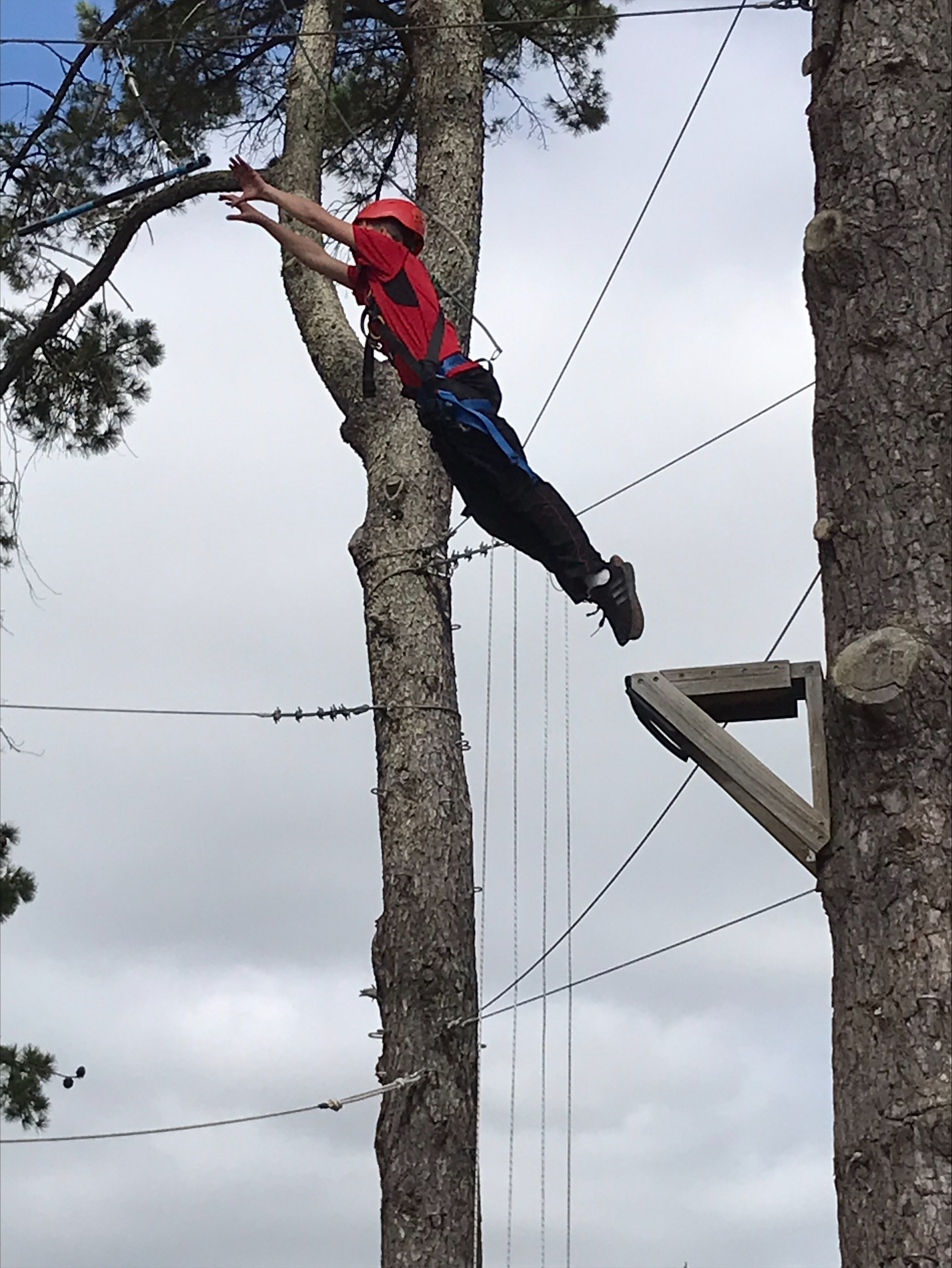 Processed ABB68 C47 A07 D 433 A 9 B49 F427 AACE0006 4550 E4 B0 CFE0 4 EC0 8453 87 BDE0 E7 DBD2