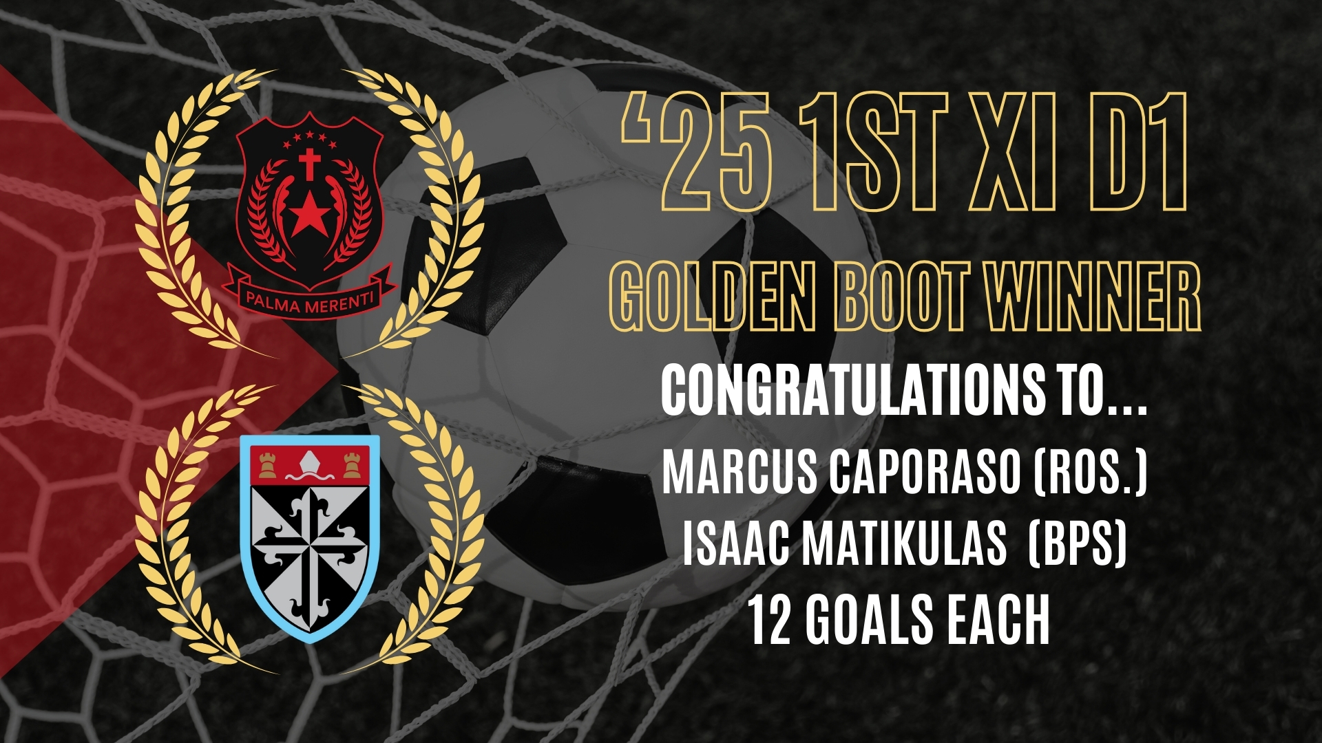 548195246 1234274401833162 1588476873041855542 n