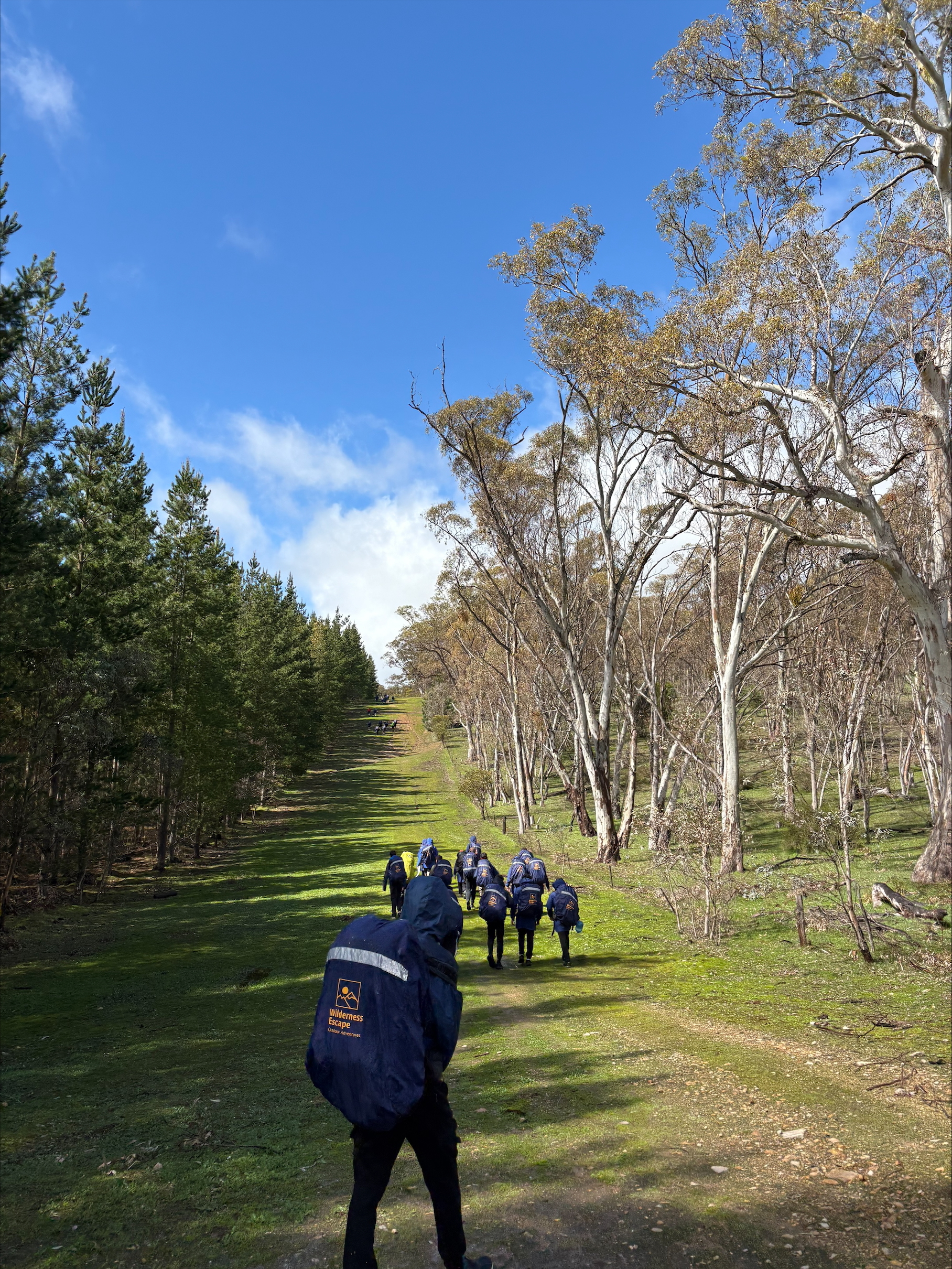 Processed 094255 AE 11 DA 4 F11 8927 177 B98 C98013