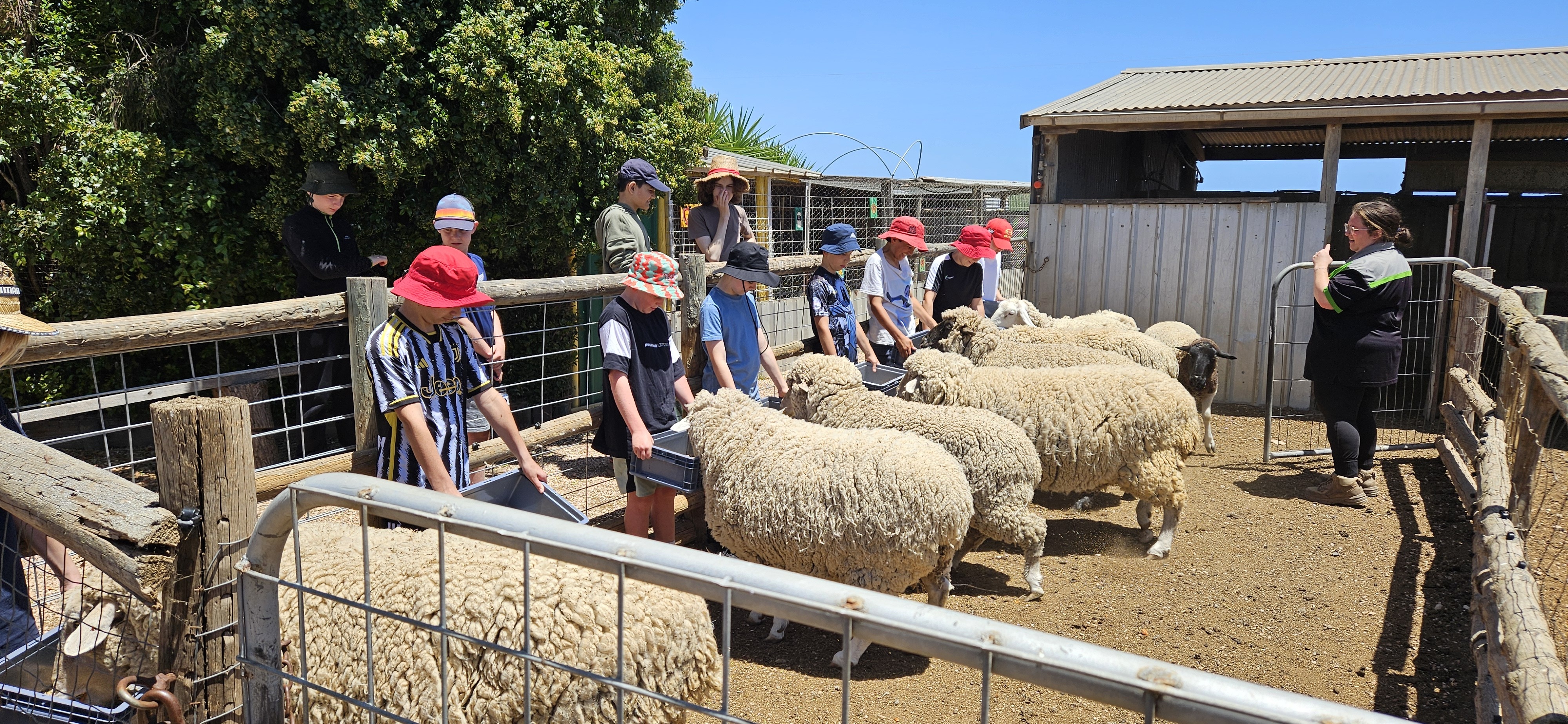 20251126 130927 Copy