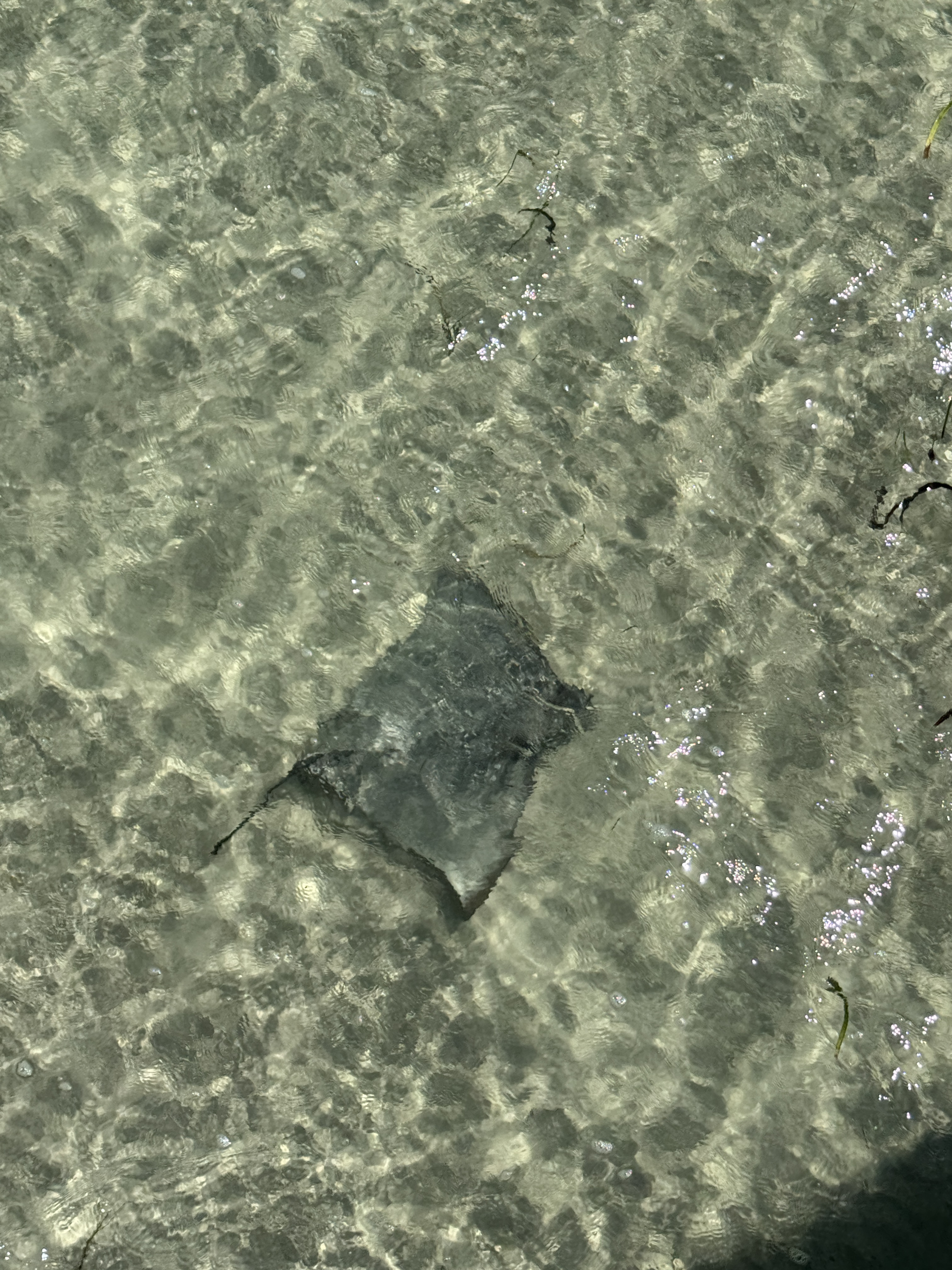 20251127 052040513 i OS