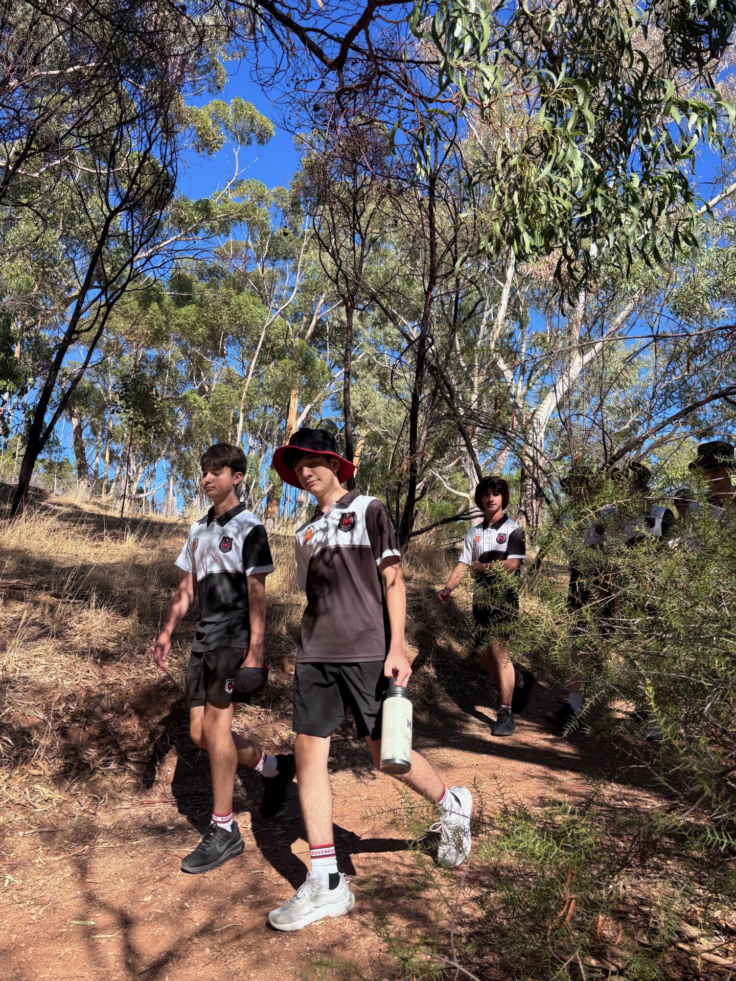 0ed5ab2c e032 445a 98f5 075e794ebbf1