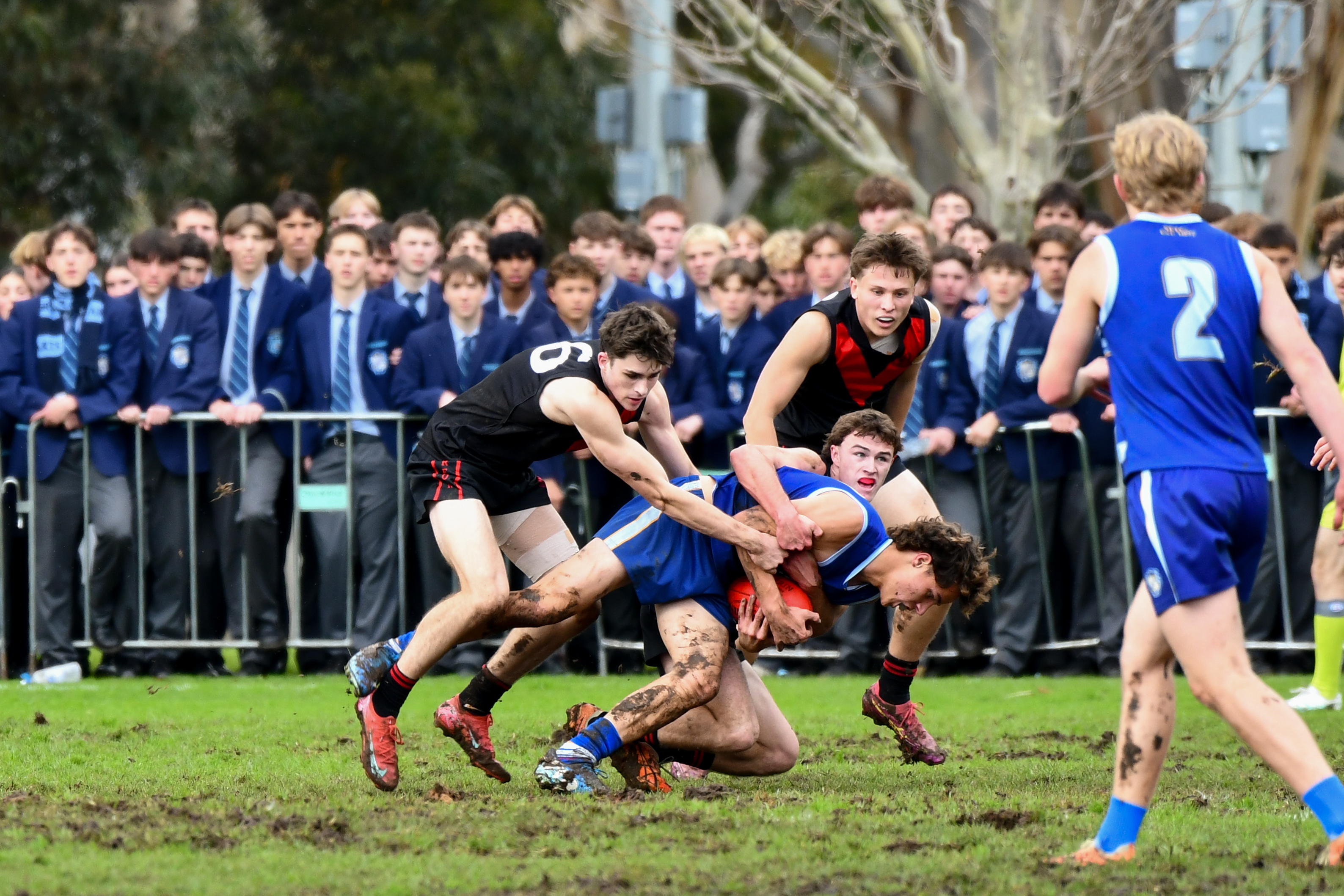 DSC 1450